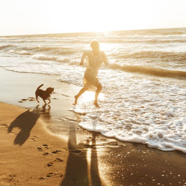 Holidays at Hotel Aromar with your pet