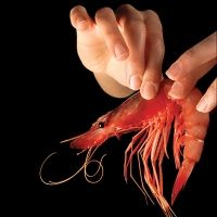 Menú de la Gamba a Calonge i Sant Antoni